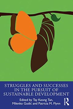 portada Struggles and Successes in the Pursuit of Sustainable Development (The Principles for Responsible Management Education Series) 