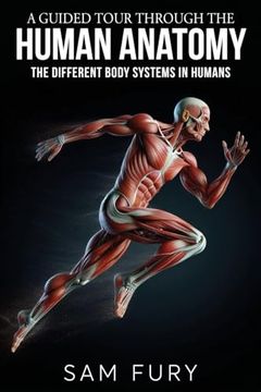 Book A Guided Tour Through the Human Anatomy: The Different Body