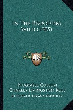 portada in the brooding wild (1905)