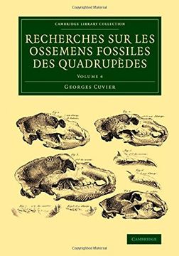 portada Recherches sur les Ossemens Fossiles des Quadrupèdes 4 Volume Set: Recherches sur les Ossemens Fossiles des Quadrupèdes - Volume 4 (Cambridge Library Collection - Earth Science) (en Inglés)