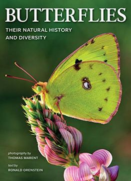portada Butterflies: Their Natural History and Diversity (in English)