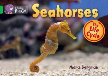 portada Seahorses: Band 05/Green (en Inglés)