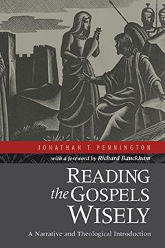 portada Reading the Gospels Wisely: A Narrative and Theological Introduction (in English)
