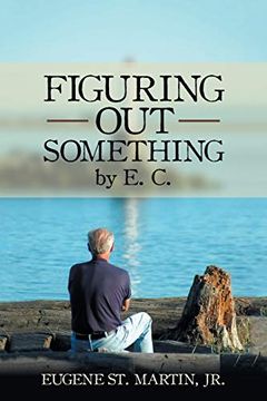 portada Figuring out Something by e. C. (in English)