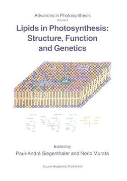 portada lipids in photosynthesis: structure, function and genetics (en Inglés)