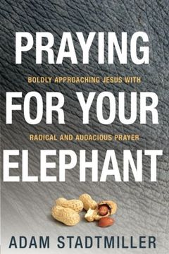 portada Praying for Your Elephant: Boldly Approaching Jesus with Radical and Audacious Prayer (in English)