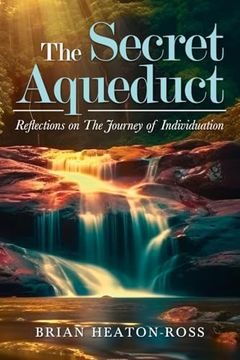 portada The Secret Aqueduct: Reflections on The Process of Individuation (in English)