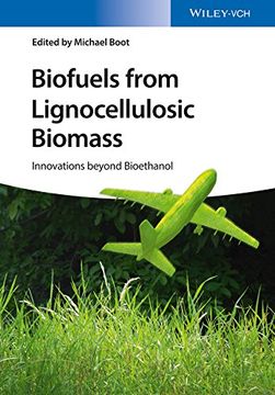 portada Biofuels From Lignocellulosic Biomass: Innovations Beyond Bioethanol 