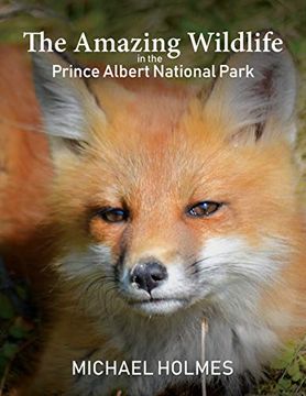 portada The Amazing Wildlife in the Prince Albert National Park (in English)