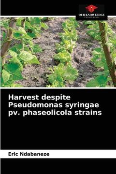 portada Harvest despite Pseudomonas syringae pv. phaseolicola strains