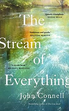 portada The Stream of Everything (in English)