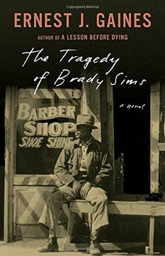 portada The Tragedy of Brady Sims (Vintage Contemporaries) (in English)