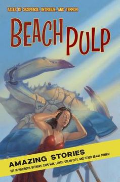 portada Beach Pulp: Amazing Stories Set in Rehoboth, Bethany, Cape May, Lewes, Ocean City, and Other Beach Towns (in English)
