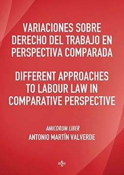 portada Variaciones sobre Derecho del Trabajo en perspectiva comparada. Different approaches to Labour Law in comparative perspective