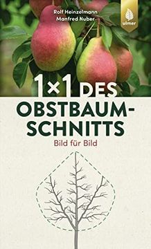 portada 1 x 1 des Obstbaumschnitts (en Alemán)