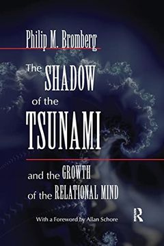 portada The Shadow of the Tsunami: And the Growth of the Relational Mind (en Inglés)