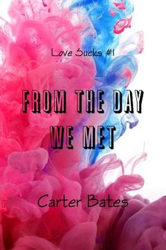 portada From The Day We Met (Love Sucks #1)