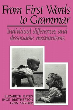portada From First Words to Grammar: Individual Differences and Dissociable Mechanisms (in English)