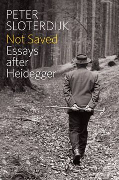 portada Not Saved: Essays After Heidegger