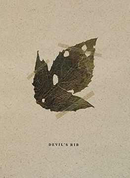 portada Mateusz Kowalik: Devil's Rib (en Inglés)