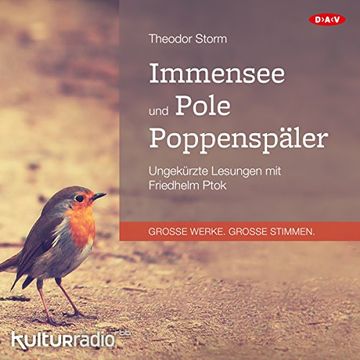 portada Immensee und Pole Poppenspäler: Ungekürzte Lesungen mit Friedhelm Ptok (1 Mp3-Cd)