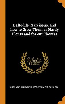 portada Daffodils, Narcissus, and how to Grow Them as Hardy Plants and for cut Flowers (en Inglés)