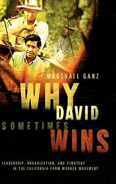 portada Why David Sometimes Wins: Leadership, Organization, and Strategy in the California Farm Worker Movement (en Inglés)
