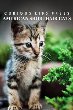 portada American Shorthair Cat - Curious Kids Press: Kids book about animals and wildlife, Children's books 4-6 (en Inglés)
