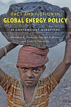 portada Fact and Fiction in Global Energy Policy: Fifteen Contentious Questions
