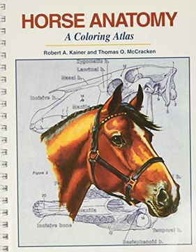 portada Horse Anatomy: A Coloring Atlas (en Inglés)