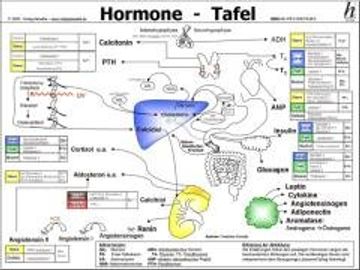 portada Hormone Tafel (in German)