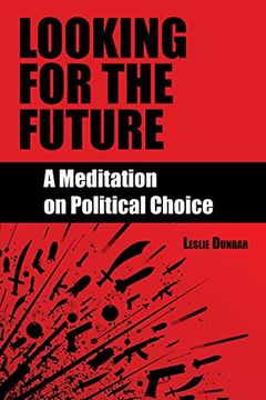 portada Looking for the Future: A Meditation on Political Choice (in English)