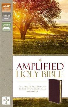 portada Amplified Holy Bible, Bonded Leather, Burgundy: Captures the Full Meaning Behind the Original Greek and Hebrew (en Inglés)