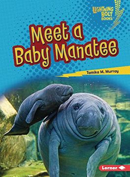 portada Meet a Baby Manatee
