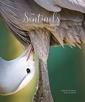portada The Sentinels: Cranes of South Africa (in English)