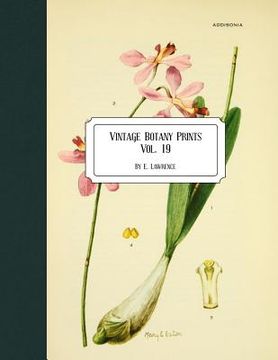 portada Vintage Botany Prints: Vol. 19 (en Inglés)