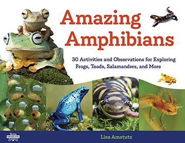portada Amazing Amphibians: 30 Activities and Observations for Exploring Frogs, Toads, Salamanders, and More (Young Naturalists) (in English)