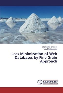 portada Loss Minimization of Web Databases by Fine Grain Approach