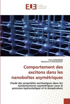 portada Comportement des excitons dans les nanoboîtes asymétriques (en Francés)