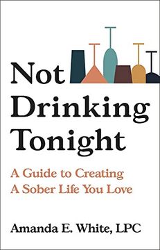 portada Not Drinking Tonight: A Guide to Creating a Sober Life you Love (en Inglés)