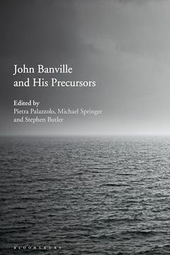 portada John Banville and his Precursors (in English)