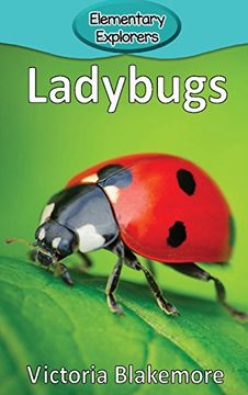 portada Ladybugs (Elementary Explorers)