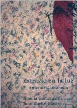 portada Extravío en la luz (Versos Iluminados) (in Spanish)