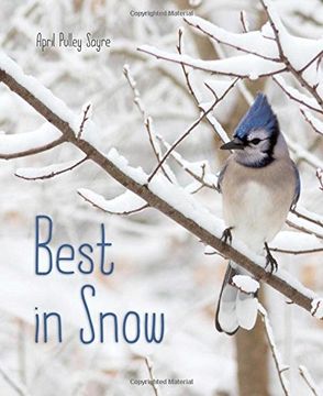 portada Best in Snow