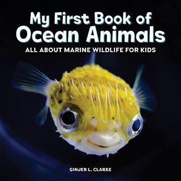 portada My First Book of Ocean Animals: All About Marine Wildlife for Kids (en Inglés)