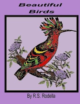 portada Beautiful Birds (in English)