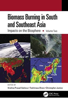 portada Biomass Burning in South and Southeast Asia (en Inglés)