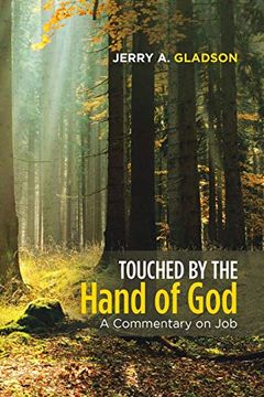 portada Touched by the Hand of God: A Commentary on job (in English)
