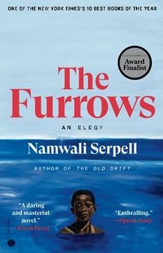 portada The Furrows: A Novel (in English)