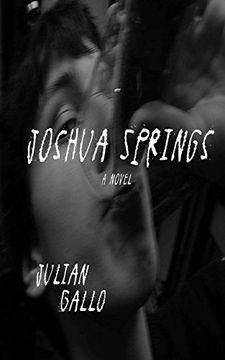 portada Joshua Springs (in English)